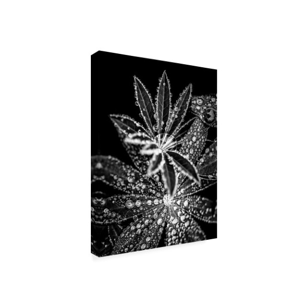 Incado 'Crystal I' Canvas Art,14x19